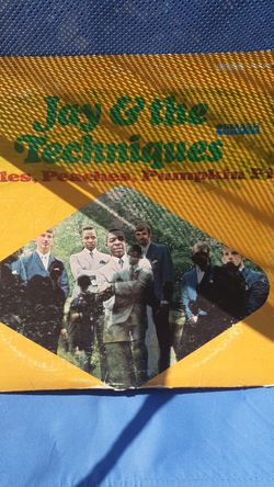 Jay $ the techniques vinyl