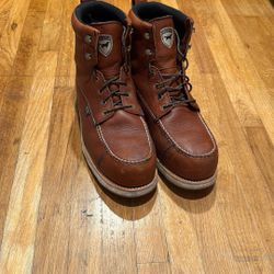 Wing shooter Irish Setters 