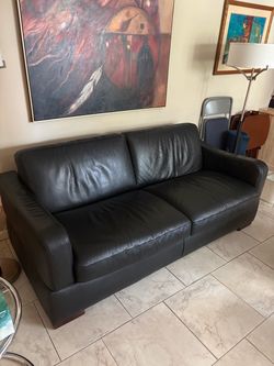 Black Leather Two-Seat Sofa with pullout bed inside