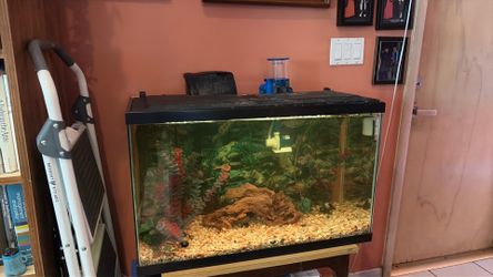 30 g fish tank