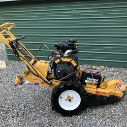 Rayco Mini Work Force Stump Grinde