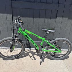 20” Kids Schwinn Mountain Bike 