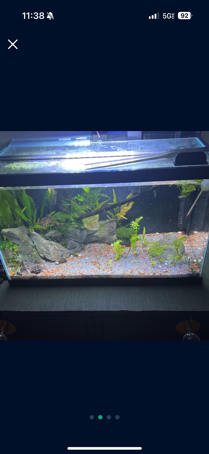 10 Gallon Fish Tank W/ Everything Included(send Offers)