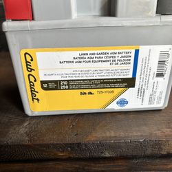 Cub Cadet Battery