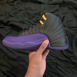 Jordan Court Purple 12 Size 11