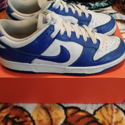 Nike SB Dunks