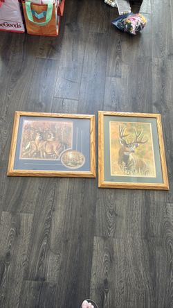 Lot of 2 framed and matted White tail Deer prints for the avid hunter