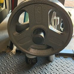 Weider Olympic Weight Plates 25  Lbs X 2