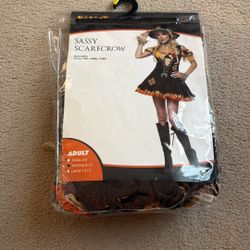 Halloween Costume Sassy Scarecrow