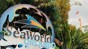 Seaworld Orlando Tickets Parking Included