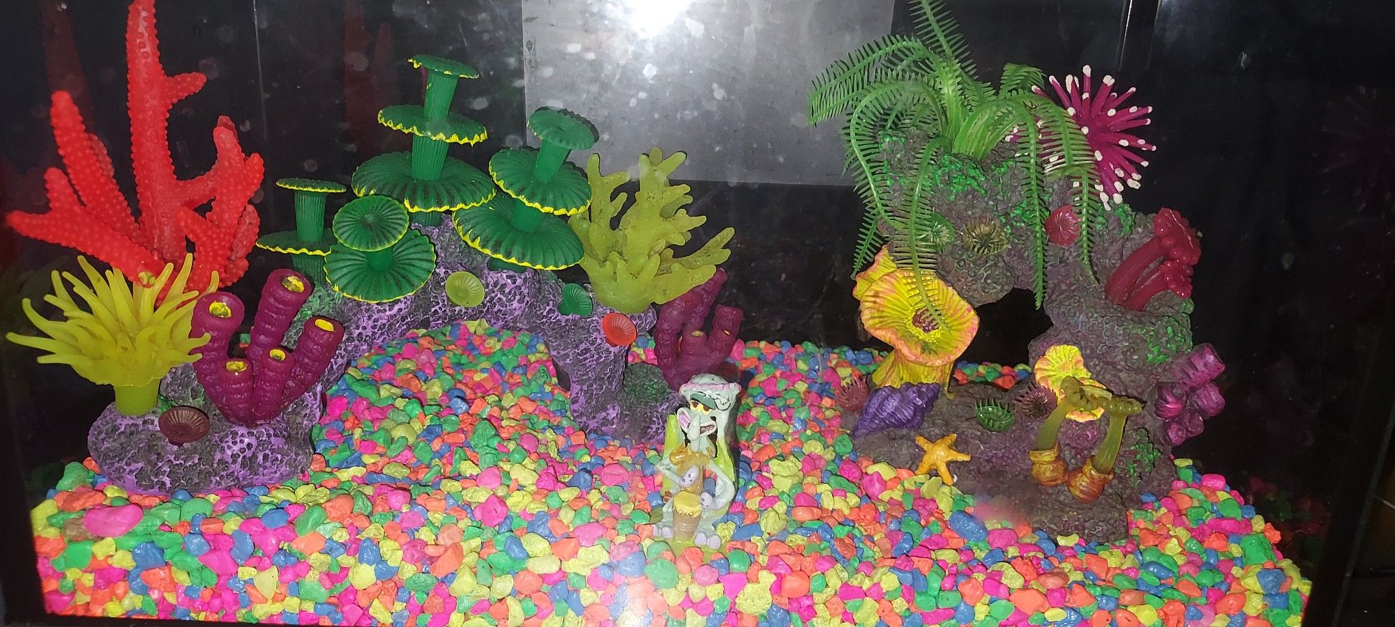 Top fun Fish Tank