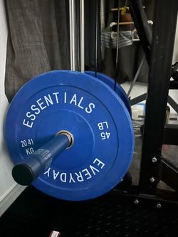 Everyday Essentials 45 LB Bumper Plate