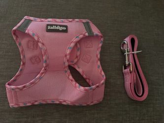 Dog Harness