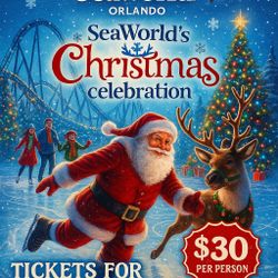 🎄✨ SEAWORLD ORLANDO  🎟️ Tickets ONLY $30! ✨🎄