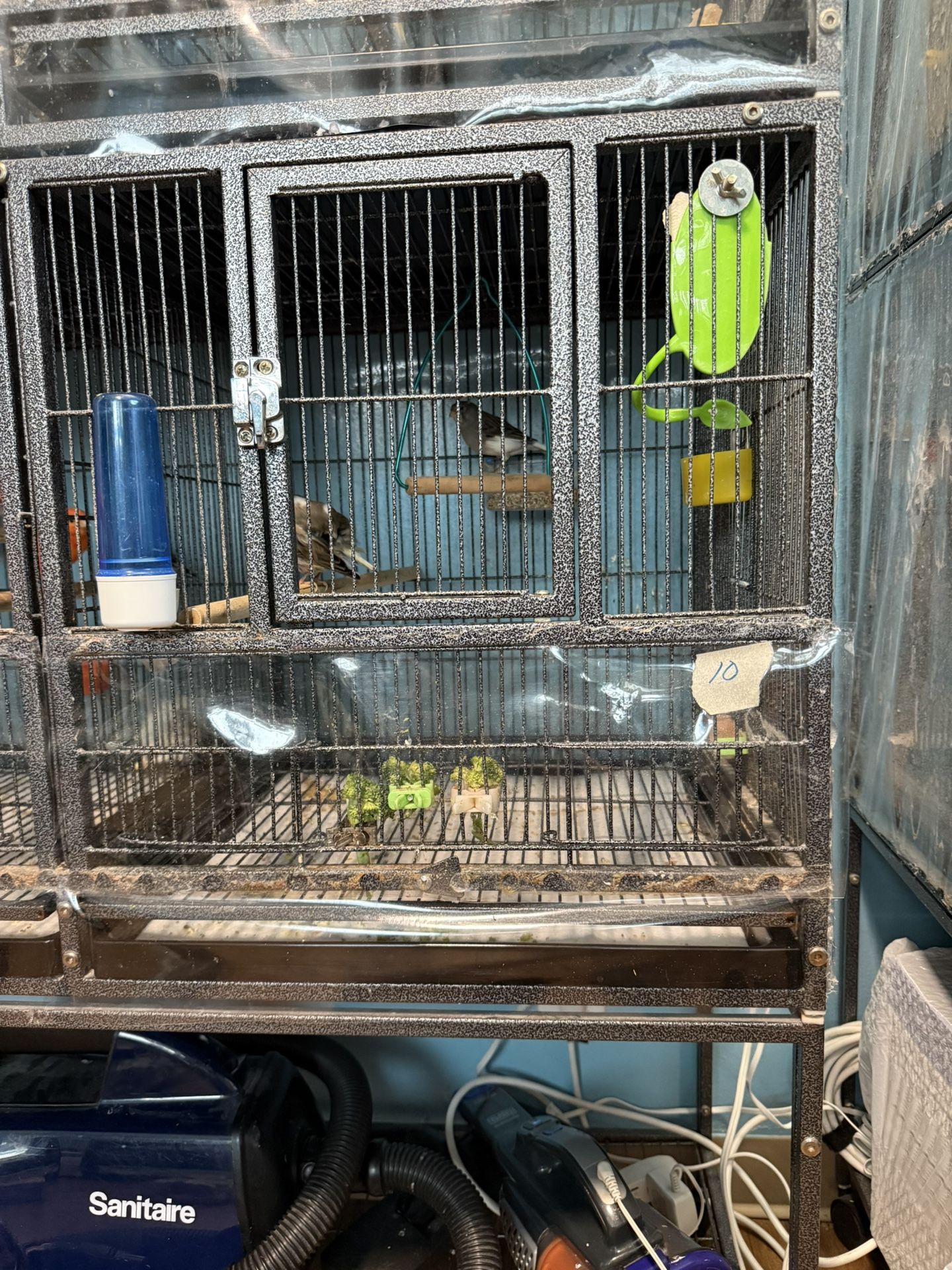 Small Cage