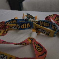 Tortuga Music Festival 