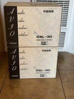 Vintage Pioneer Speaker Set