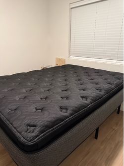 Sealy Queen Size Mattress