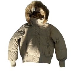 Baby Phat Sand Puffer Jacket