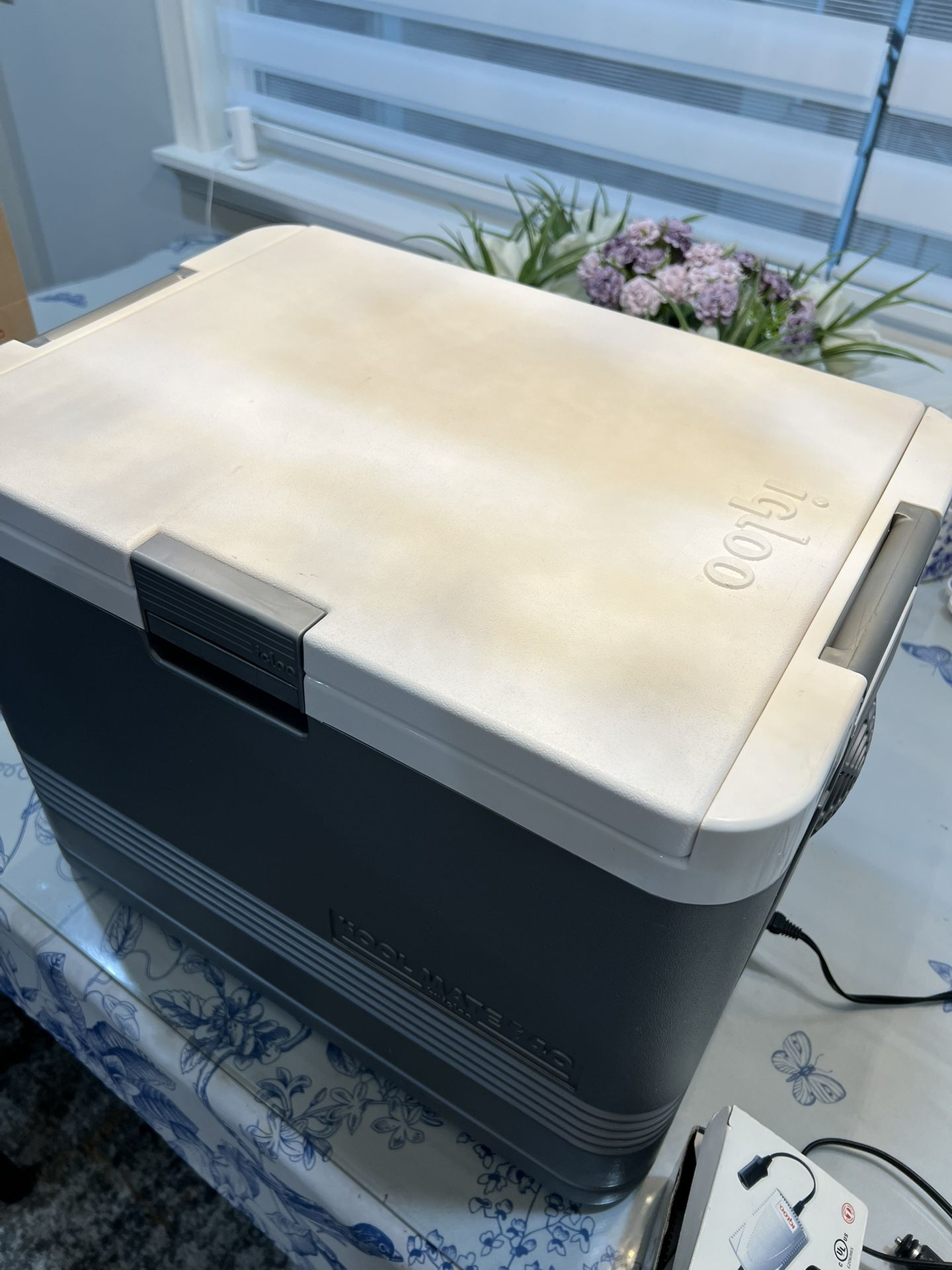 Igloo Indoor/outdoor Electric Cooler