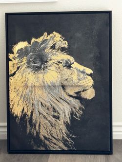 Lion picture