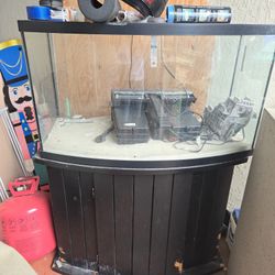 Fish Tank