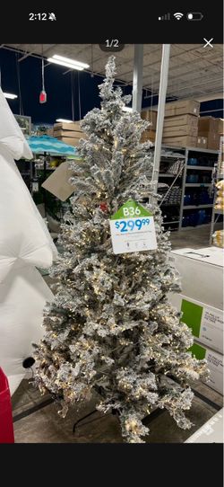 New Christmas Tree 7.5 Ft