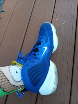 penny hardaway blue chips shoes
