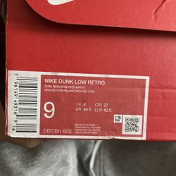 Gym red Nike dunk retro