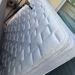 FREE Queen mattress/Box spring/Bed Frame. 