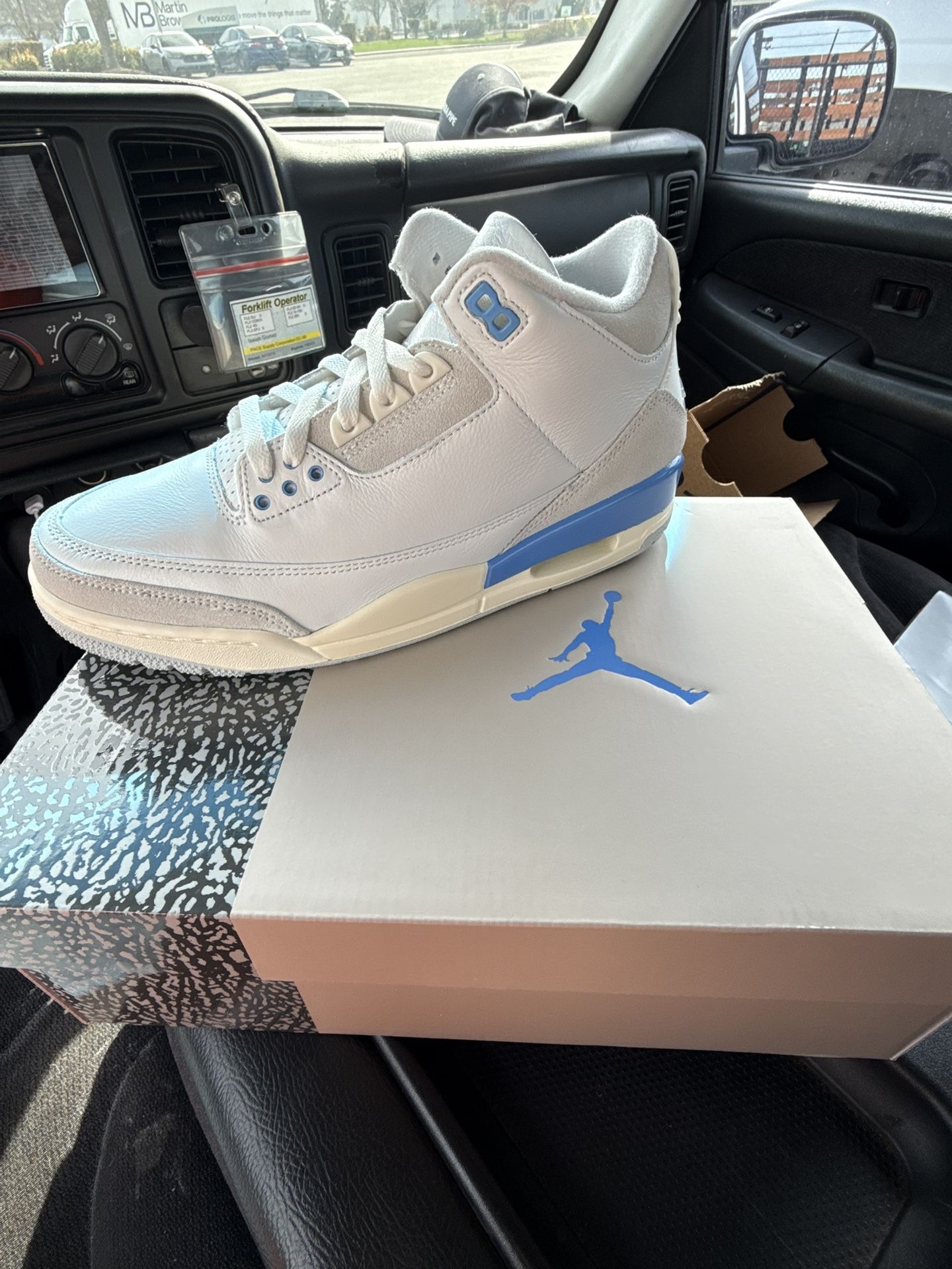 Air Jordan Lucky shorts 3s (size 10)