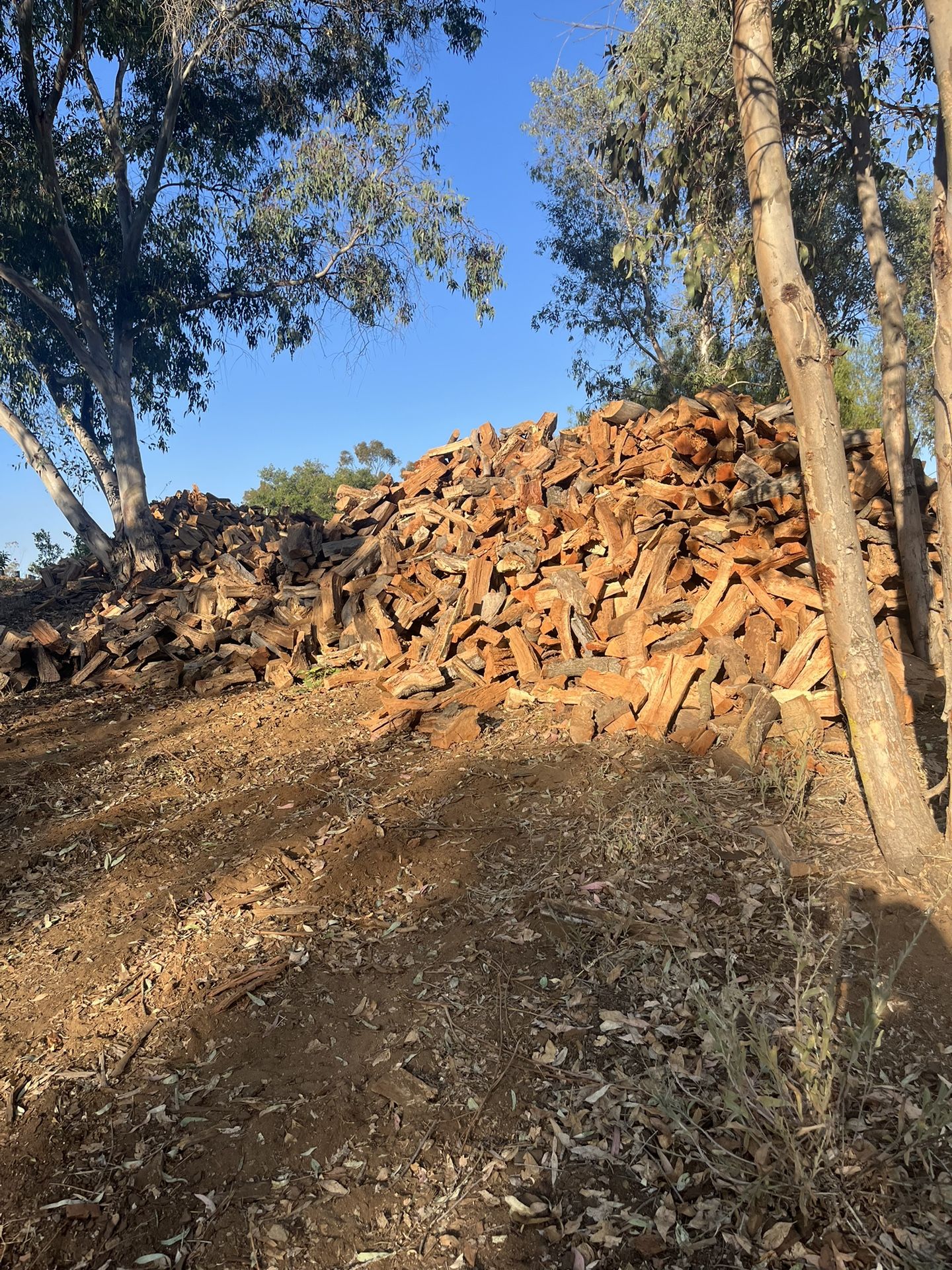 Firewood