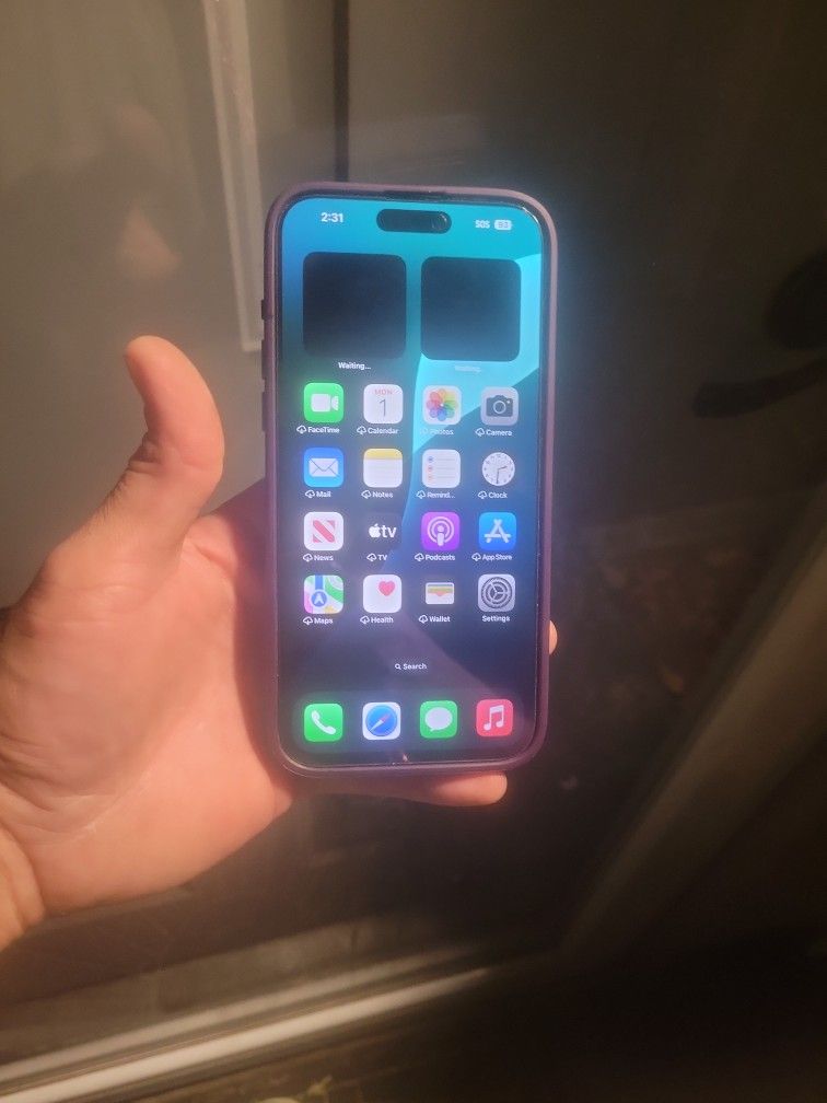 IPhone 15 Pro Max 256 Gig