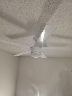Cieling Fans