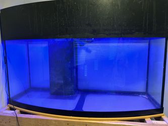 90 gallon fish tank