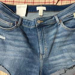 H&M Short Size 18 (BNWT)