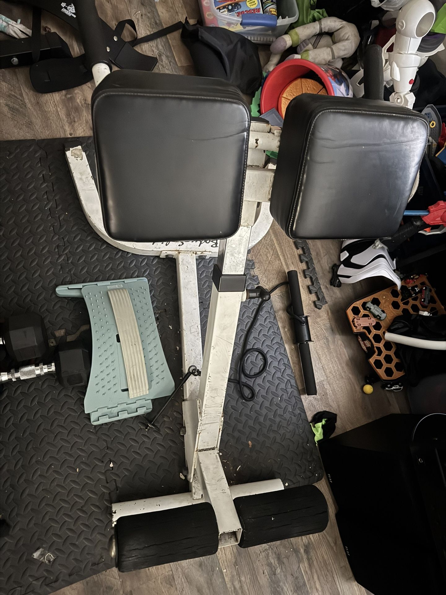 Life Fitness Roman Chair 