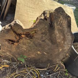 Reclaimed wood and Driftwood