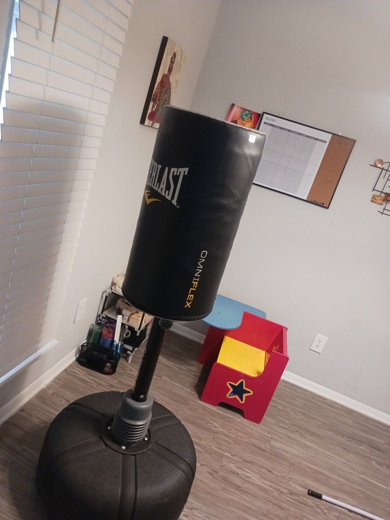 Punching Bag