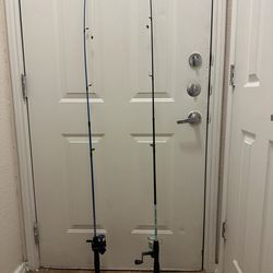 2 fishing poles