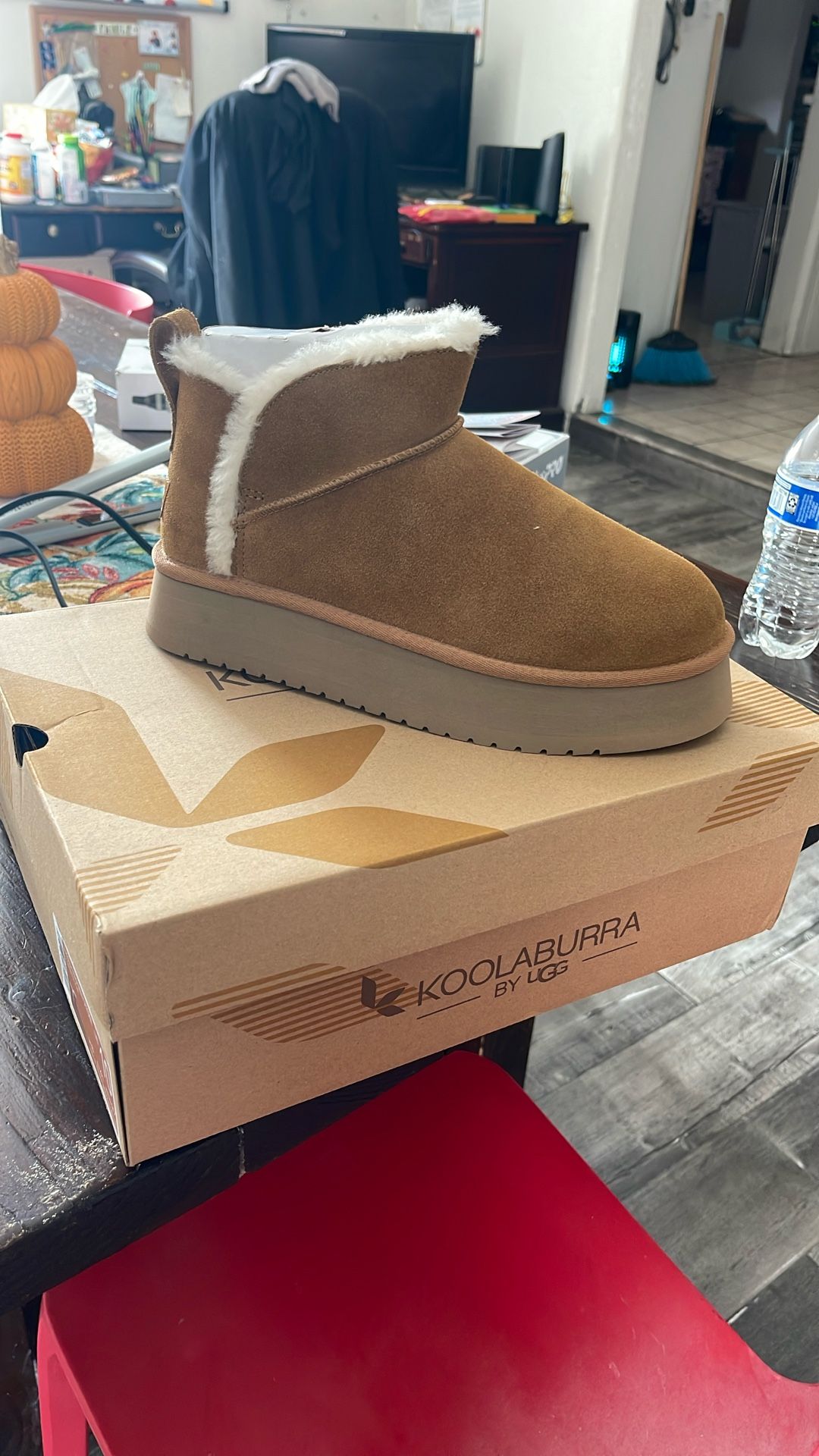 Ugg Mini Platform Boots
