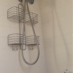 Hand Shower ADA Compliant 