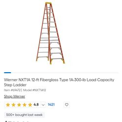 Werner 12ft Ladder 