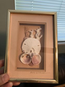 Shell Framed Art 5.5 X 7.5