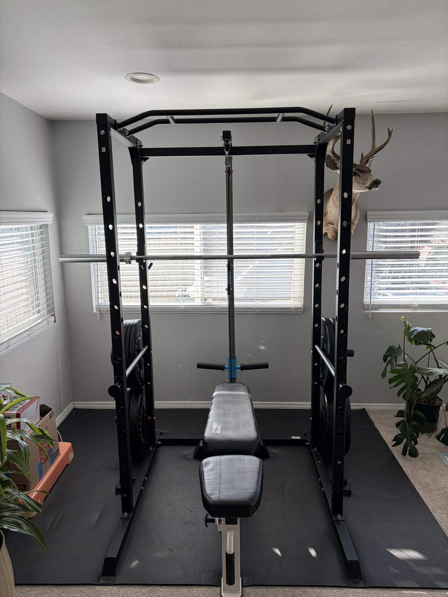 Squat/bench Rack With Weights