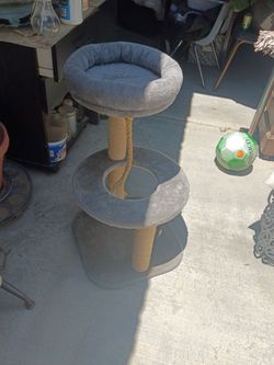 Cat scratcher