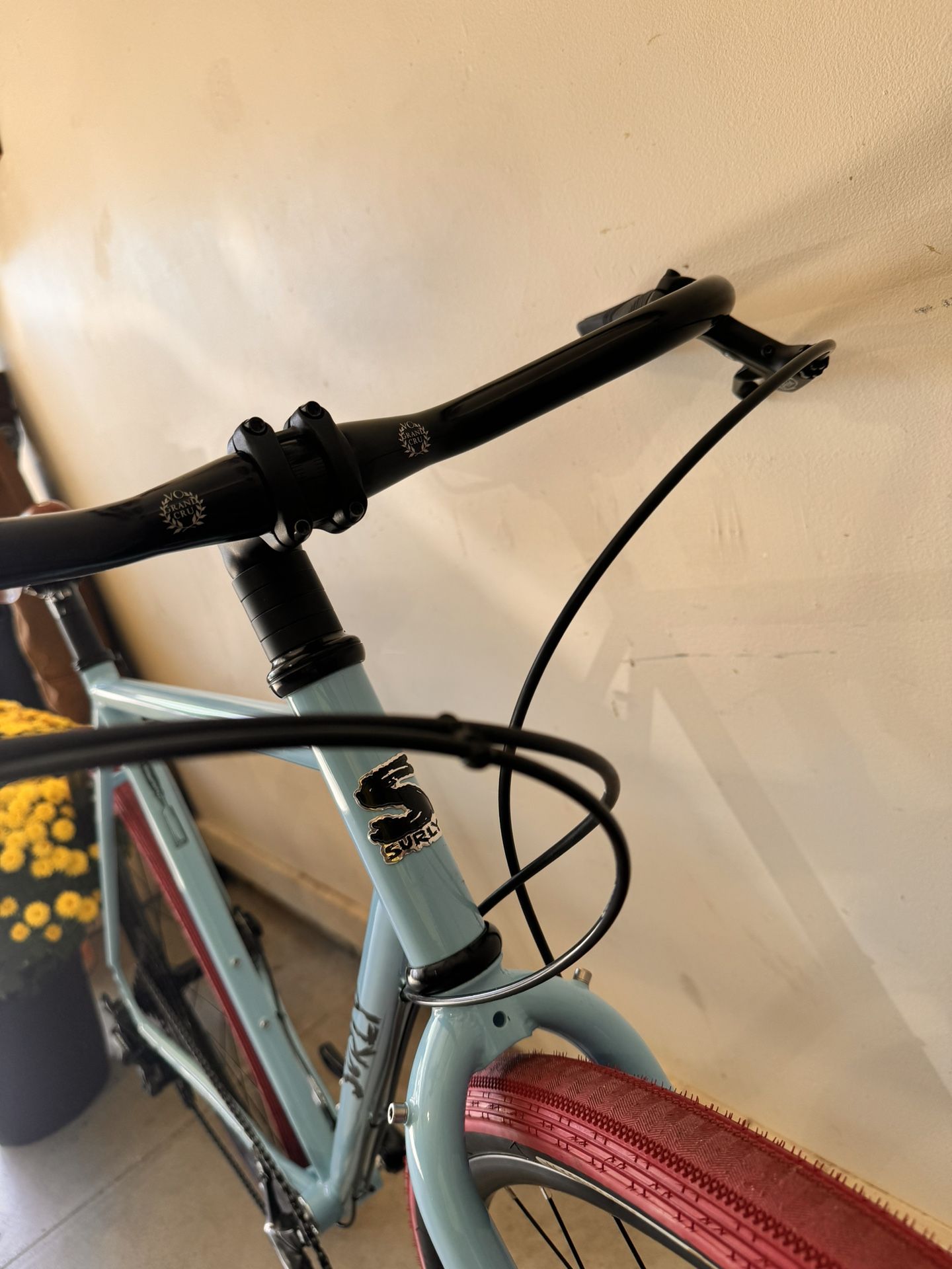 🌺 Surly Preamble🌺