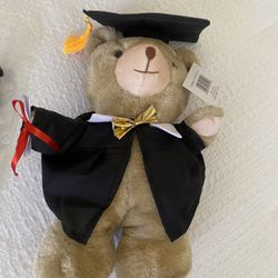 Graduation Teddy Bear 🧸 