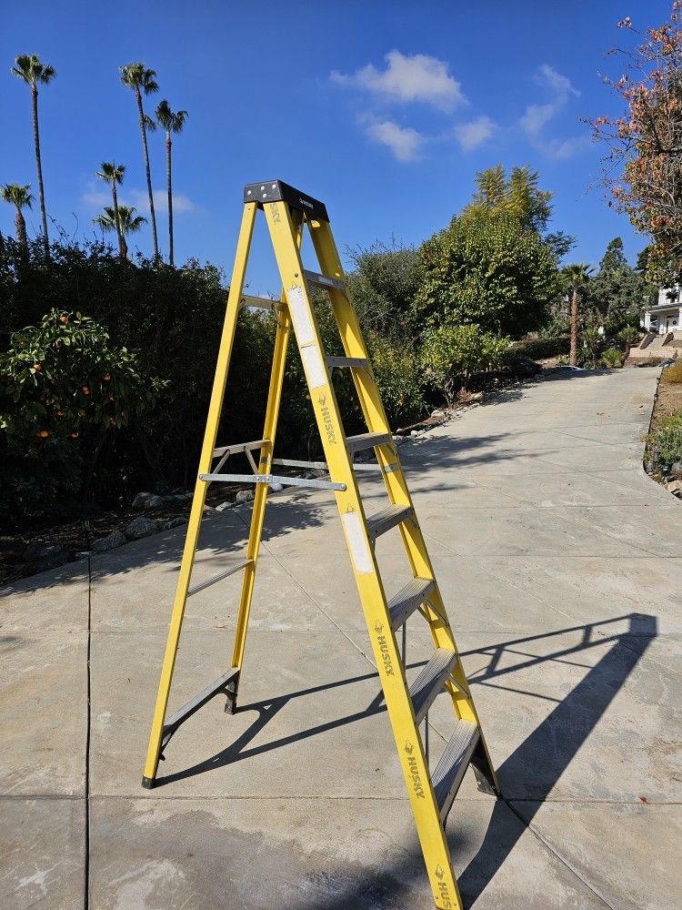Ladder 8 Ft Fiberglass