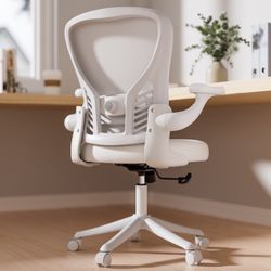 HomeZeer Mesh Office Chair, 300LBS Middle Back Ergomomic Office Chair with 3D Armrests, Computer Desk Chair with Adjustable Lumbar Support, Wide Seat 